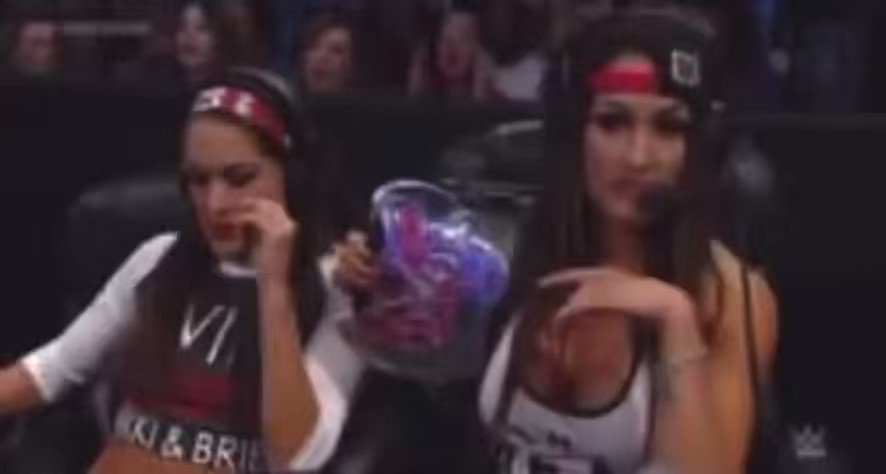 WWE legend icon Nikki Bella & Brie Bella looking disgusted https://t.co/mVrXWeL4Ea