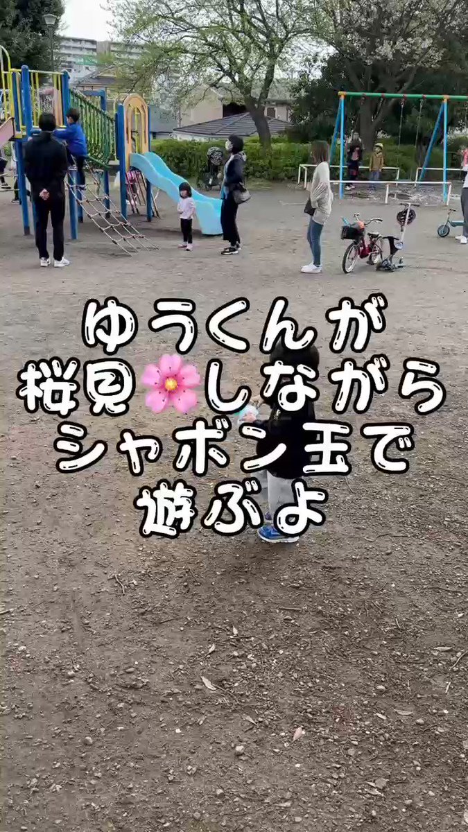 ゆうくんが桜見🌸しながらシャボン玉🫧で遊ぶ