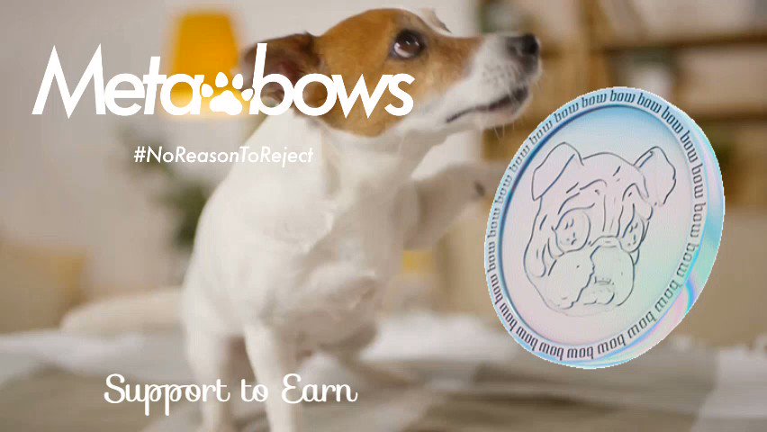 いよいよ次の投稿から
XCRホルダーさんもMetabowsの
#support2earn に参加✨
拡散力がより拡大し
人と犬のウェルビーイングな
社会作りの実現がグッと近付く💪

#DFT ホルダーはタスクで得られる
#BowToken にボーナス有り💰✨

⬇良かったら見てみてね( 亝👄亝)ｳﾌﾌ💗
https://t.co/veMsqsuebr 