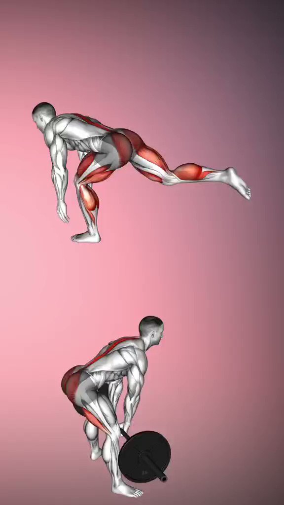 Onlygearvip On Twitter RT fitnesspavill Best Calf Exercises To Bulk onlygearvip-on-twitter-rt-fitnesspavill-best-calf-exercises-to-bulk