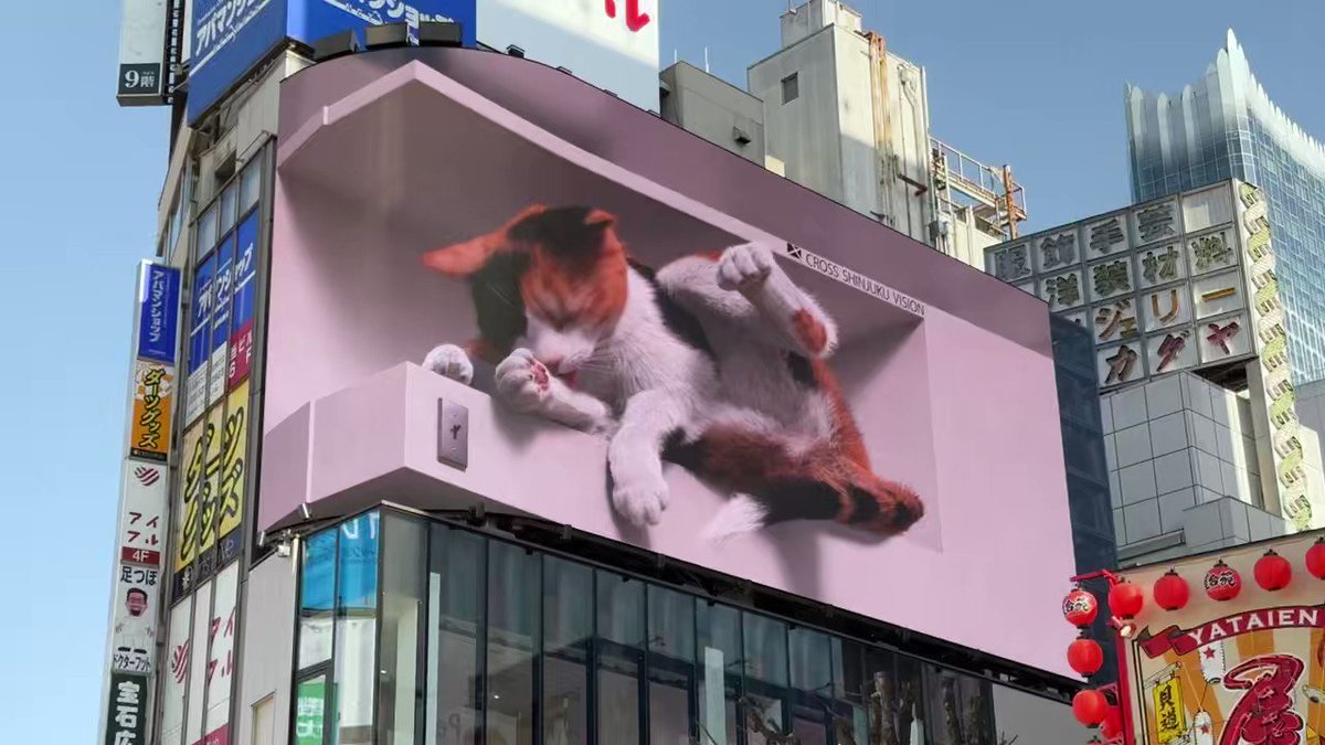 アサちゃんの毛づくろい RT @xspace_tokyo: 猫さまが毛づくろいをし始めました〜✨ 日向ぼっこ