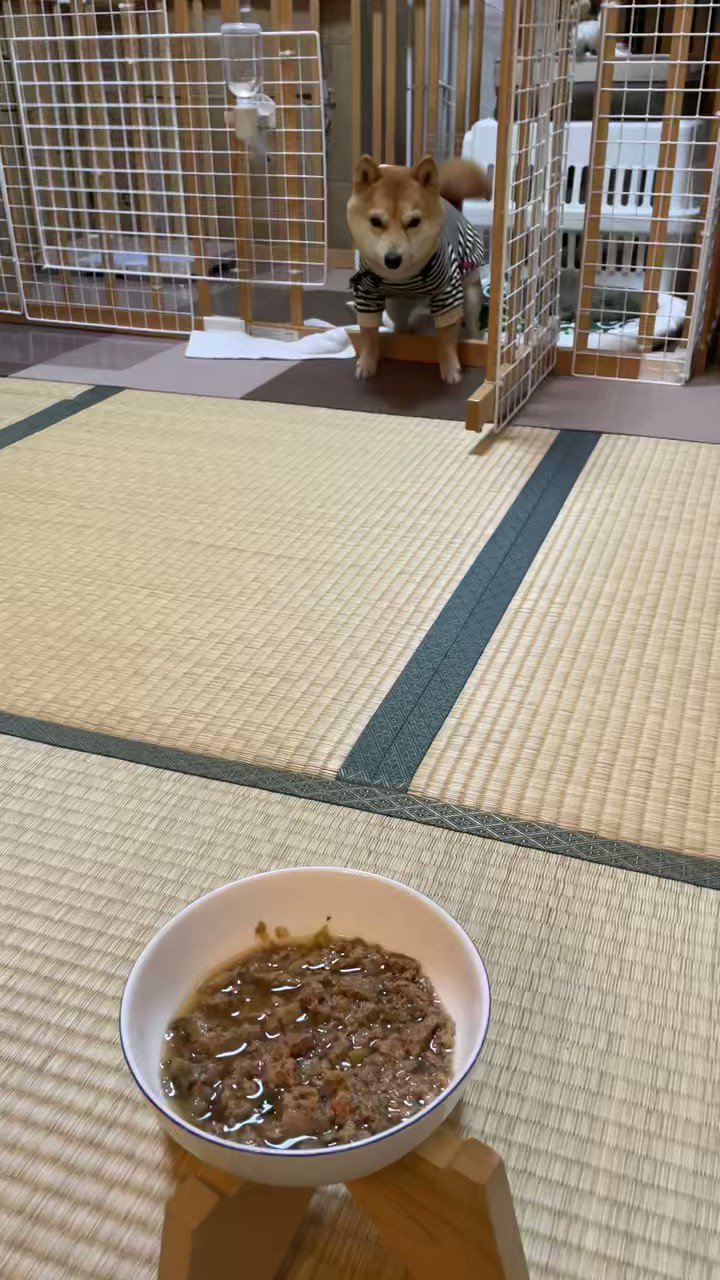 まめ吉さん sippoEXPO最終日のステージには、あの「まめきちまめこ」さん
