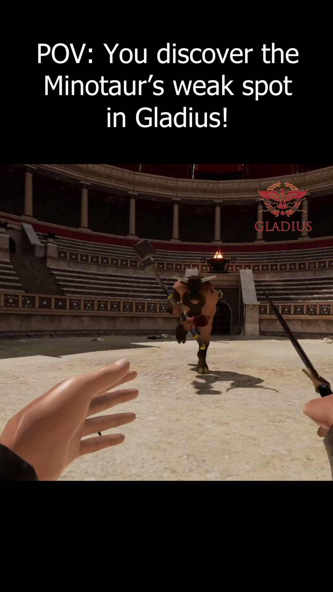 Gladius  Gladiator VR Sword fighting on Steam