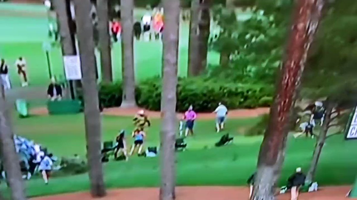 Vision4theBlind on Twitter "Two trees fell at the Masters golf