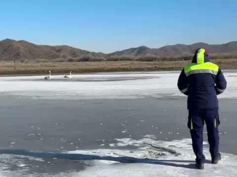 Н. Мөнхнасан on Twitter: "Mанай хамт олны бүтээсэн Тосон нууранд хавар ...