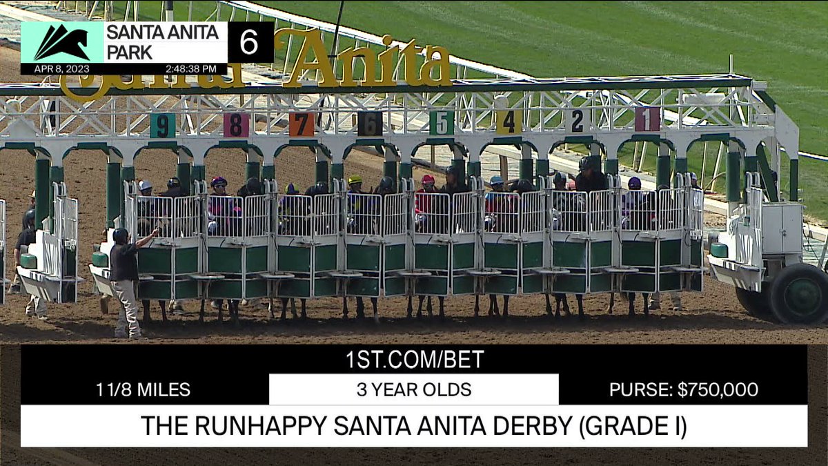 horseracinginjapan-on-twitter-japan-s-mandarin-hero-finished-2nd-in