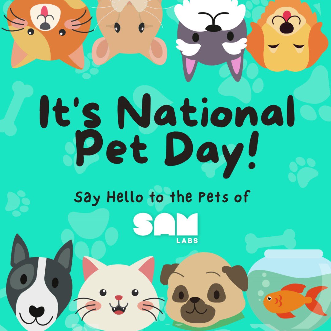 These are more than our pets; they are our family! 

#EduTwitter #TeacherTwitter #Innovation #STEAM #STEM #Coding #CodingForKids #STEMForKids #CSForAll #EdTech #k12 #k12Education #Makers #EducationMatters #bringingsciencetolife #steamlearning https://t.co/4ftvsJ6It7