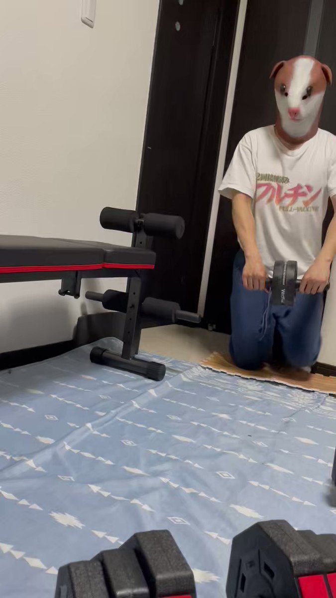 初回限定お試し価格】 タキオン 2EYE☓45m 登山用品 - www.gifav.org