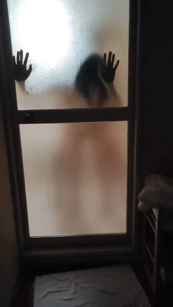 Video by @Hase_kuro_ch