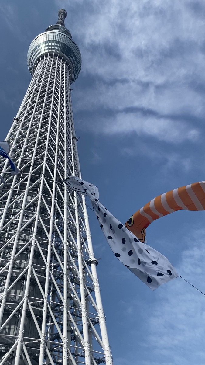 【キイロイトリ　アクアリウム　チンアナゴ】 キイロイトリがメンダコやチンアナゴに！？水族館をテーマにした