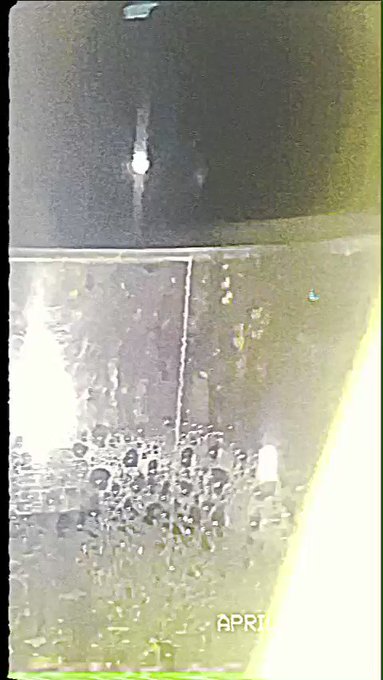 The newcollective edited this how cool does it look! Also these shorts were soooo hard to get off https://t<a href="/tag/onlyfans"class="tags"><span>#onlyfans</span></a>