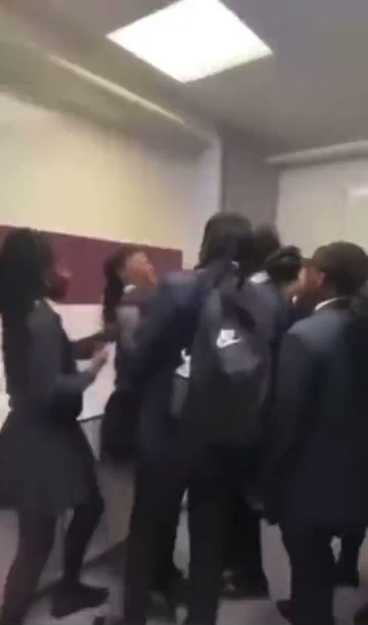 Insane Fights‼️🥊 (FightFeverHQ) / Twitter