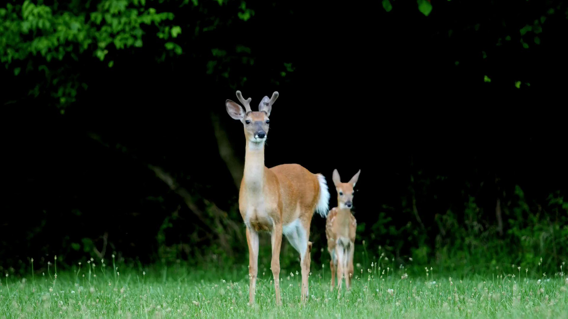 Clock Wizard Games (clockwizardgame) / Twitter