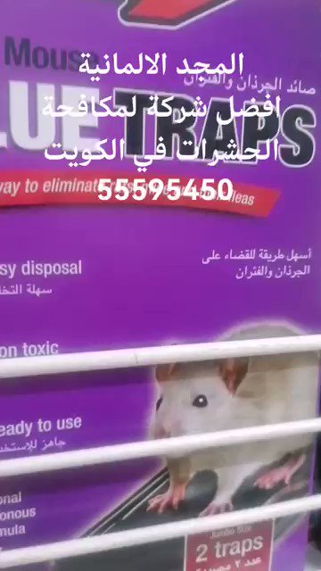 tsqii9ld - شركة مكافحة حشرات في الكويت - X.com