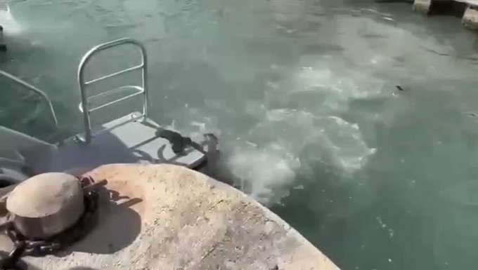 Vacation officially over..👀👀 https://t.co/0A48cTikqo<a href="/tag/maliah"class="tags"><span>#maliah</span></a>