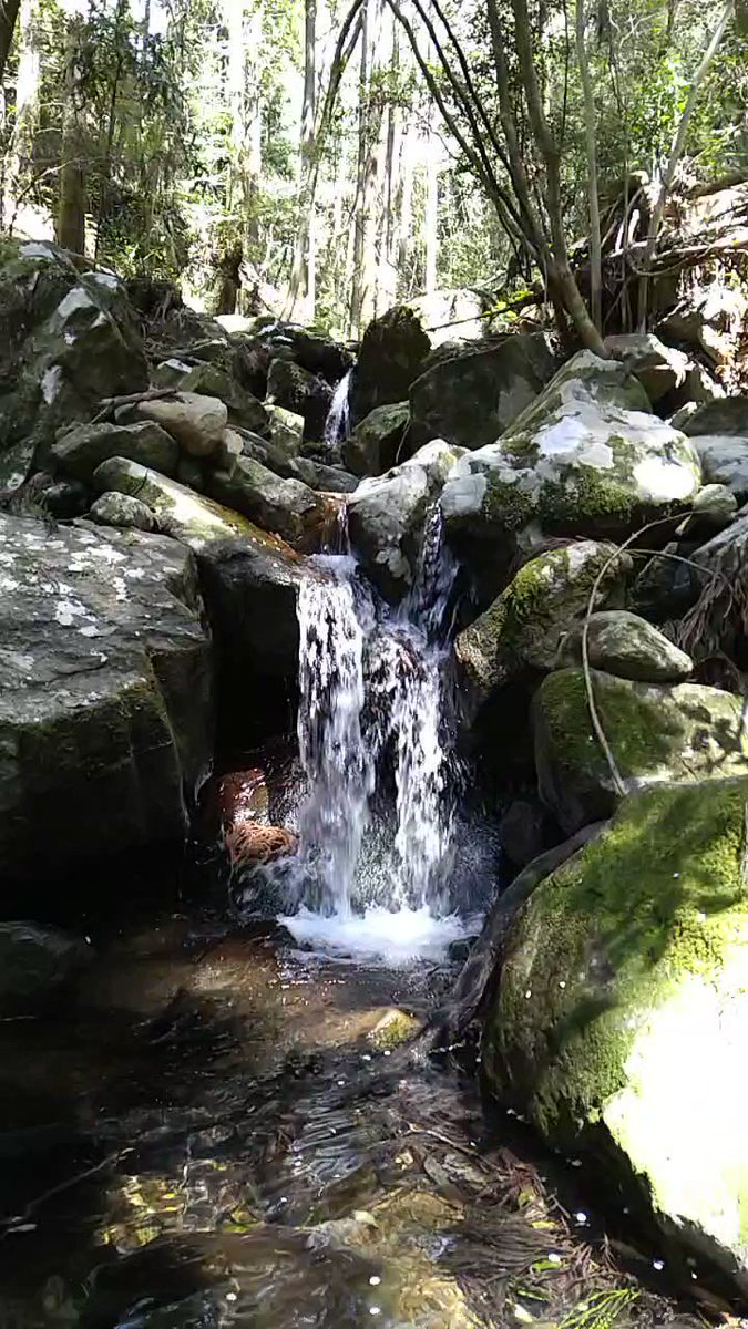 水辺の風景をお届けしています。 定期的に投稿していますので、水辺の風景がお好きな方は、ぜひフォローしてください(^^) YouTubeも併せてフォローお願いします(^^) https://t.co/jpqj2Ci8ya