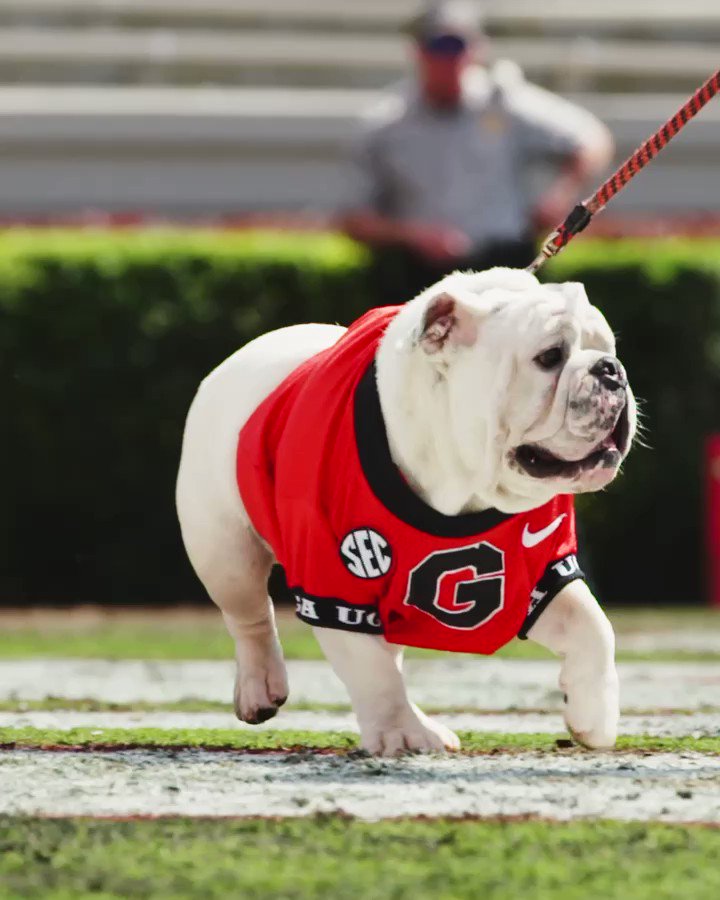 No context college football on twitter boom 