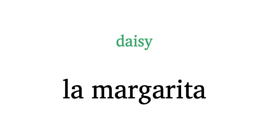 Learn Spanish Words on Twitter "la margarita — daisy spanish spain 