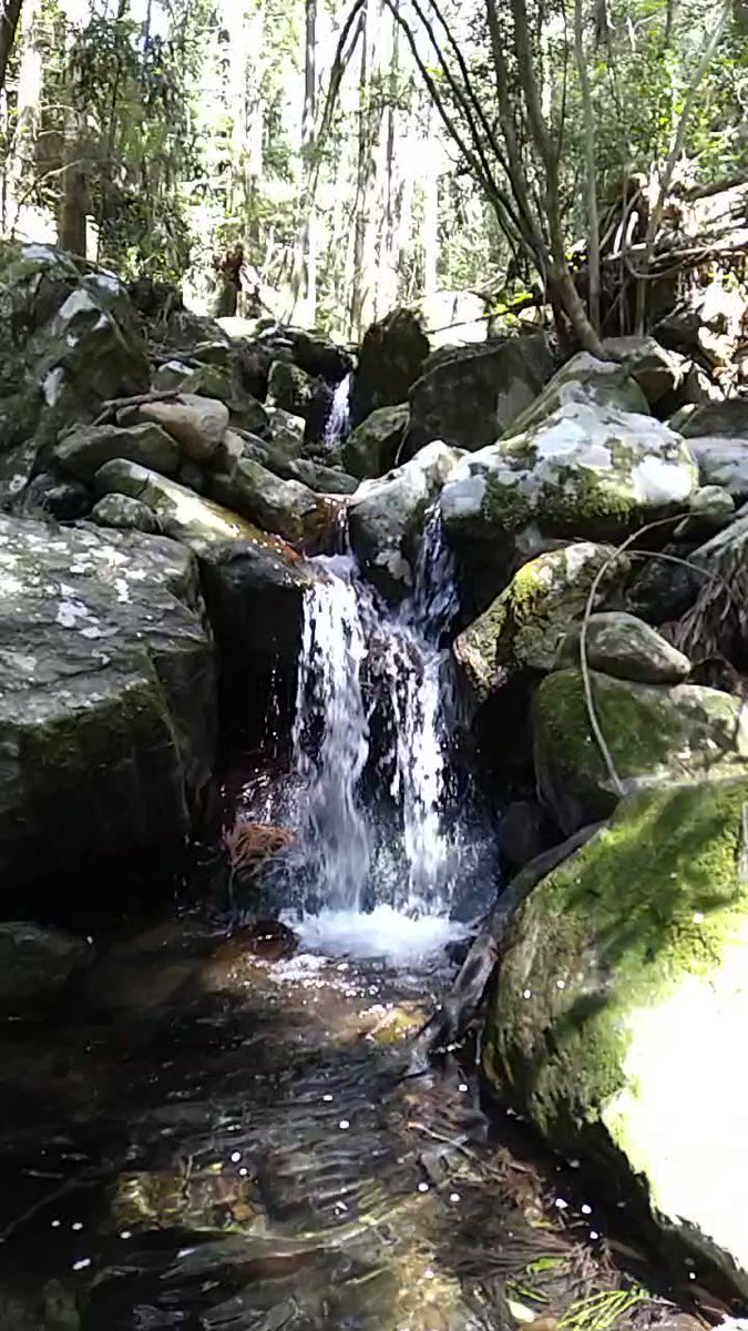 水辺の風景をお届けしています。 定期的に投稿していますので、水辺の風景がお好きな方は、ぜひフォローしてください(^^) YouTubeも併せてフォローお願いします(^^) https://t.co/jpqj2Ci8ya