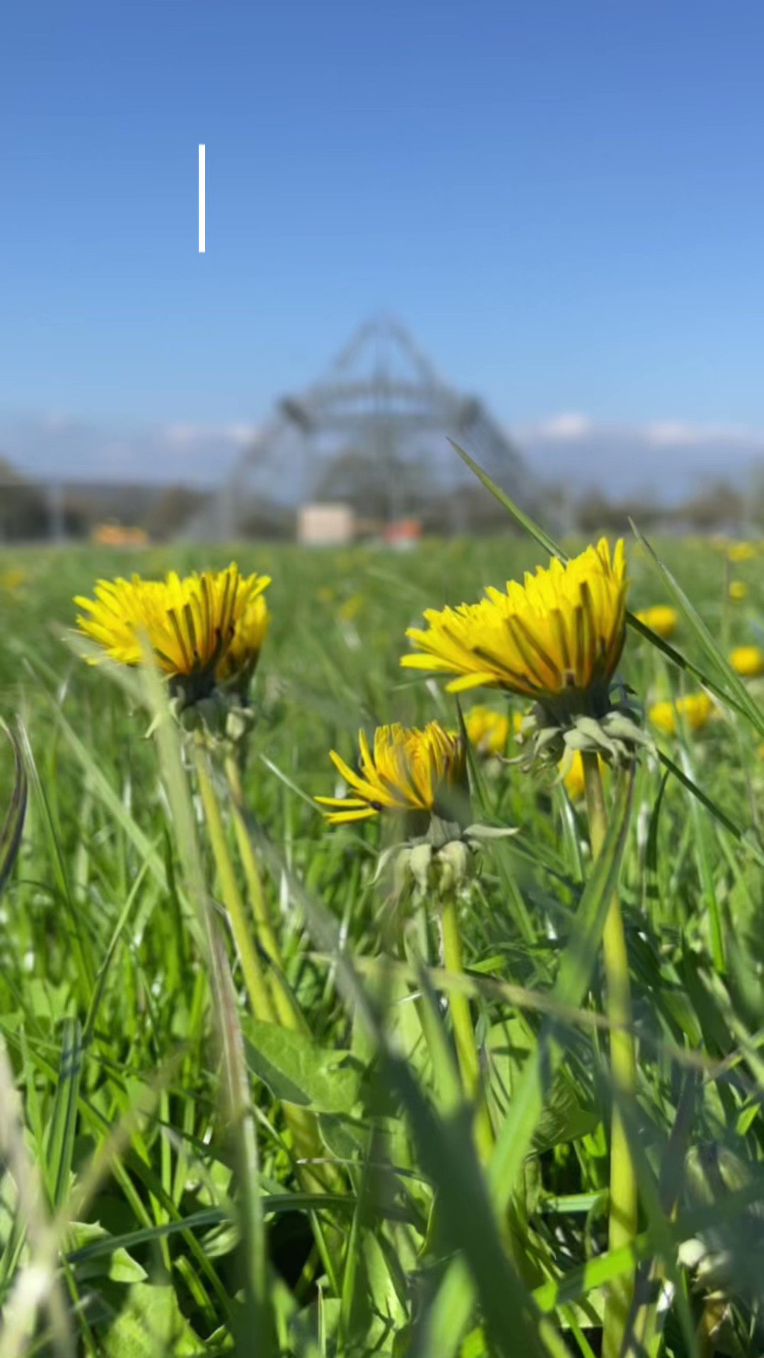 Brothers Cider (BrothersCider) / Twitter