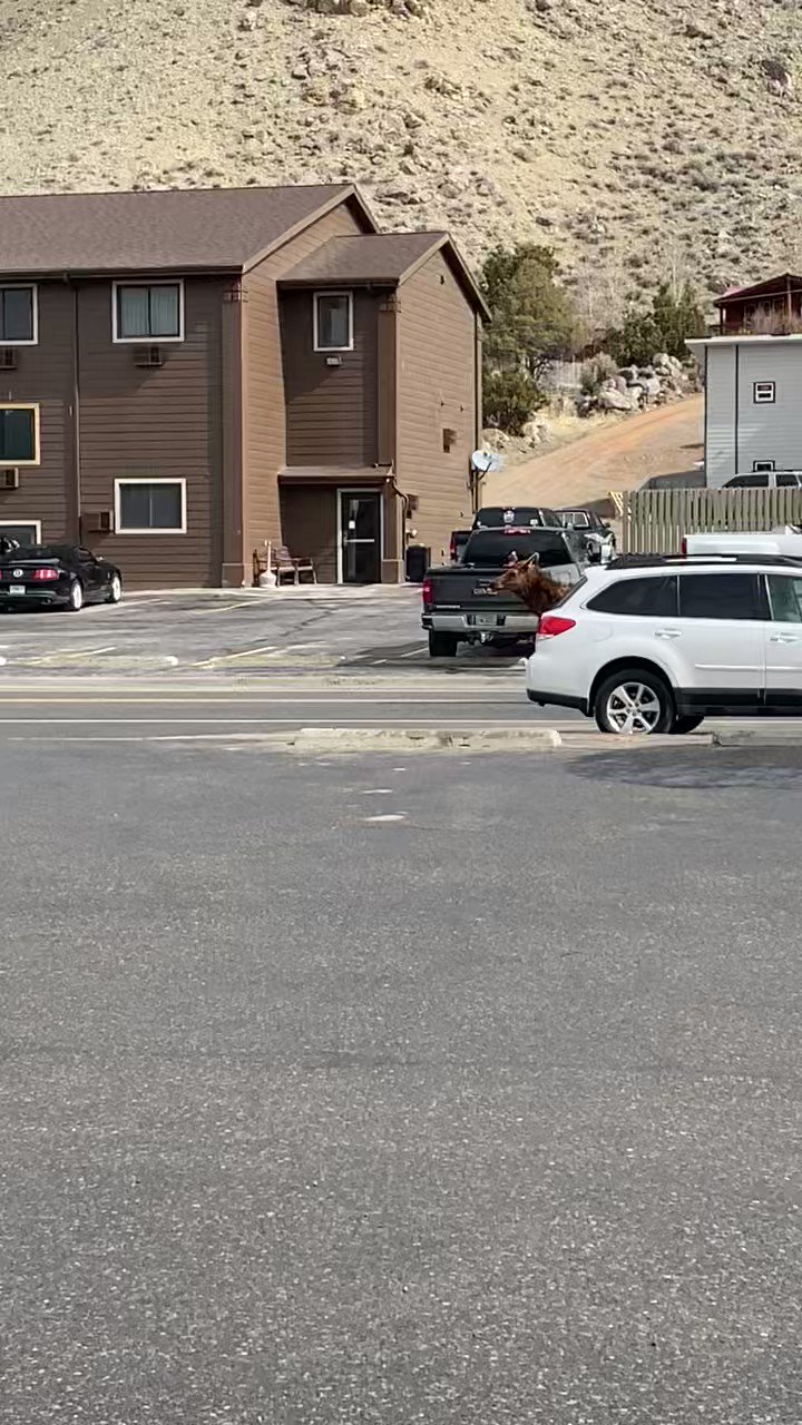 Alex McCollum (AlexMcCollumTV) / Twitter