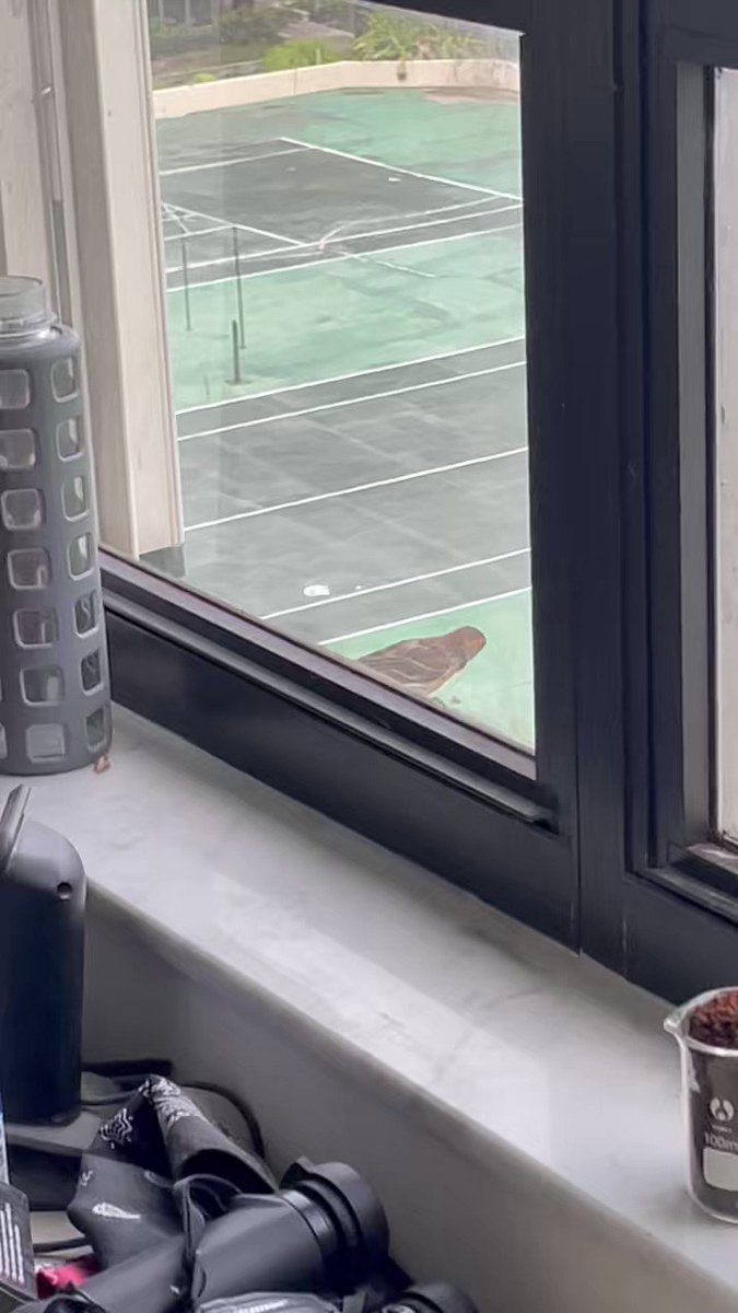 Gabriel N. U. on Twitter: "During the last three years I have been