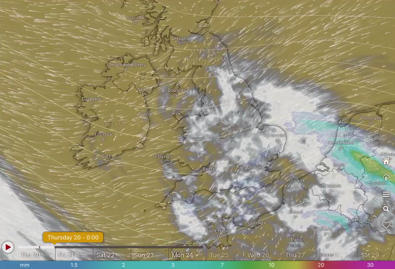 The Birding Doctor (Birding_Doctor) / Twitter