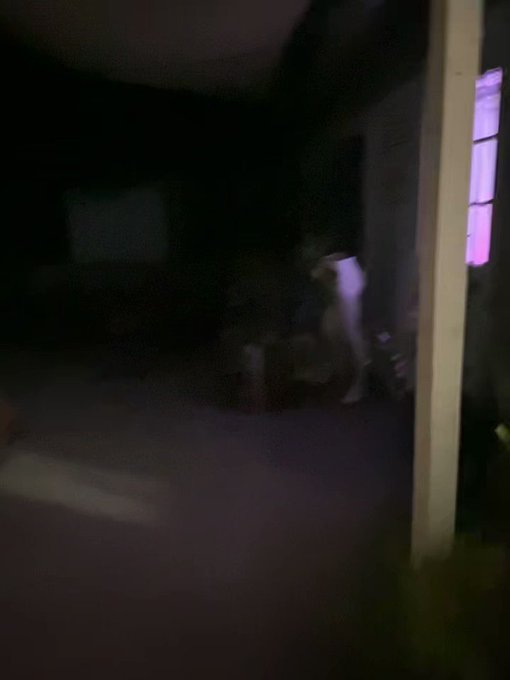 Liam “Coco” Lorde’s pics and videos