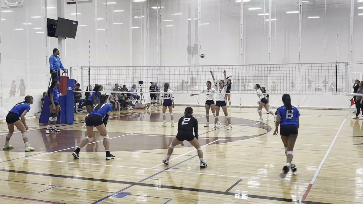Cayla Gilmore on Twitter "A few of my highlights from the PVA