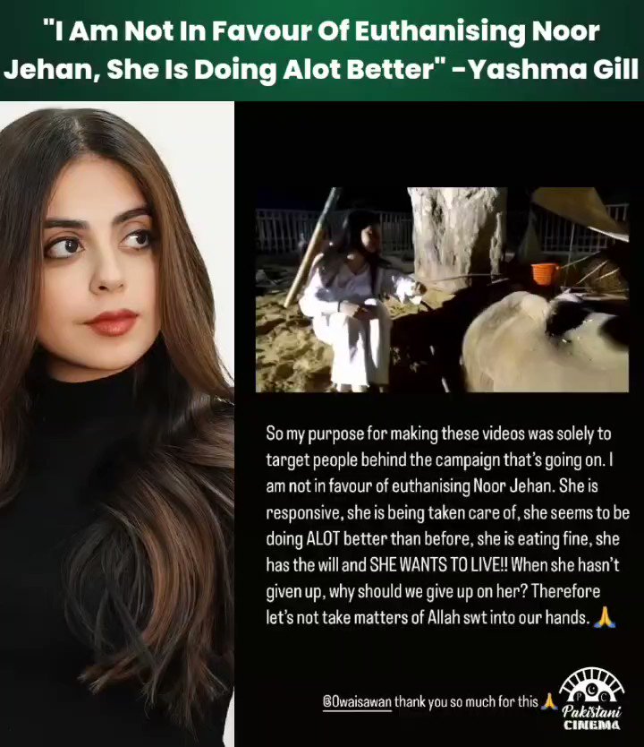 Pakistani Cinema on Twitter: "Yashma Gill visited the ailing elephant #
