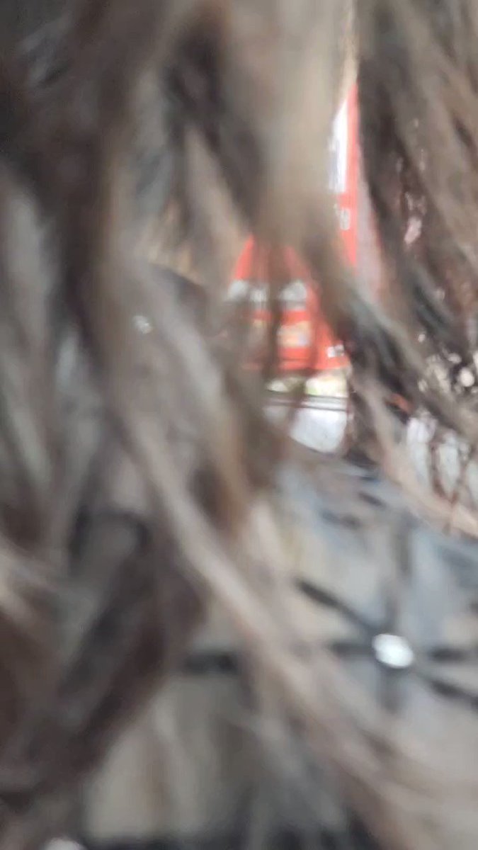 運動会乳揺れ | Twitter Video Tools