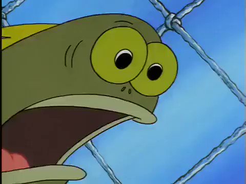 iffy - save gifs & videos 🦝 on X: meme video of fish from