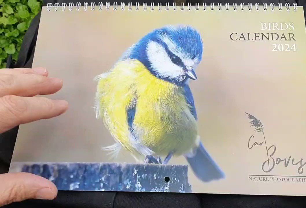 Carl Bovis on Twitter "Thread! 😀 Here are my brand new 2024 Birds