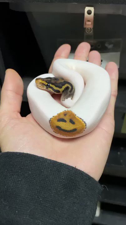 MG Mughal💚💫💜 on Twitter: 