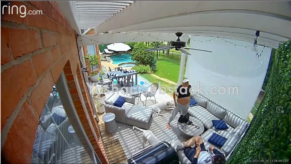 Tree of Logic 🇺🇸 on Twitter "Yari Ali received this video clip from