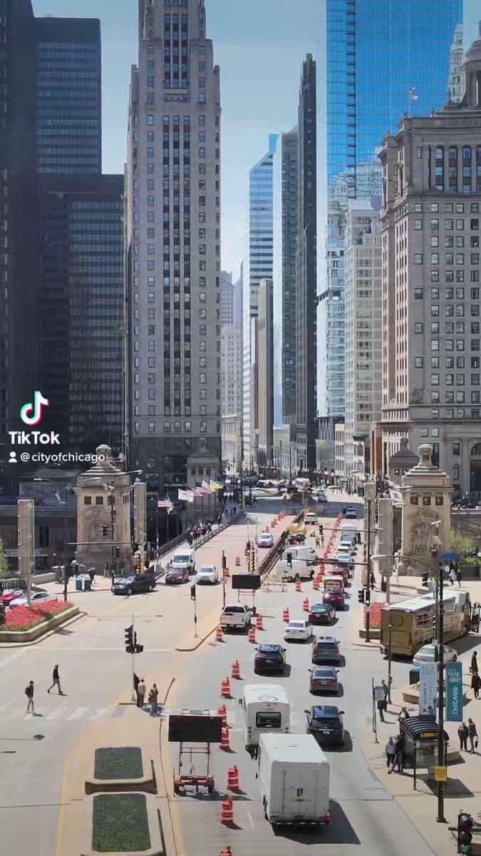 City of Chicago on Twitter "Have you ever admired the tulips on