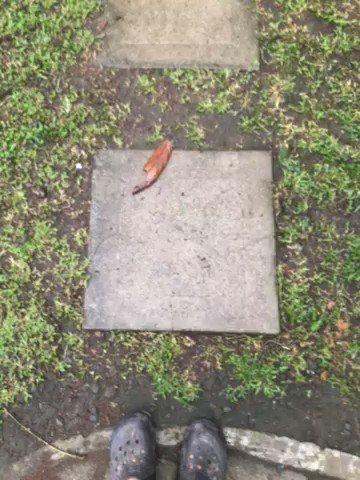 Good morning Friday tax  rt if you want cash #findom #cashmaster #feet https://t.co/09Mx4yhWJ9