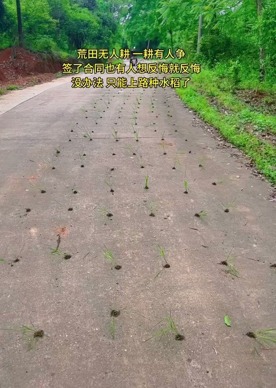 [討論] 支共退林還耕