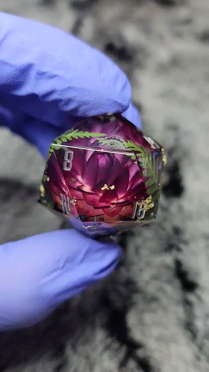 Dice Dumpling (dicedumpling) / Twitter