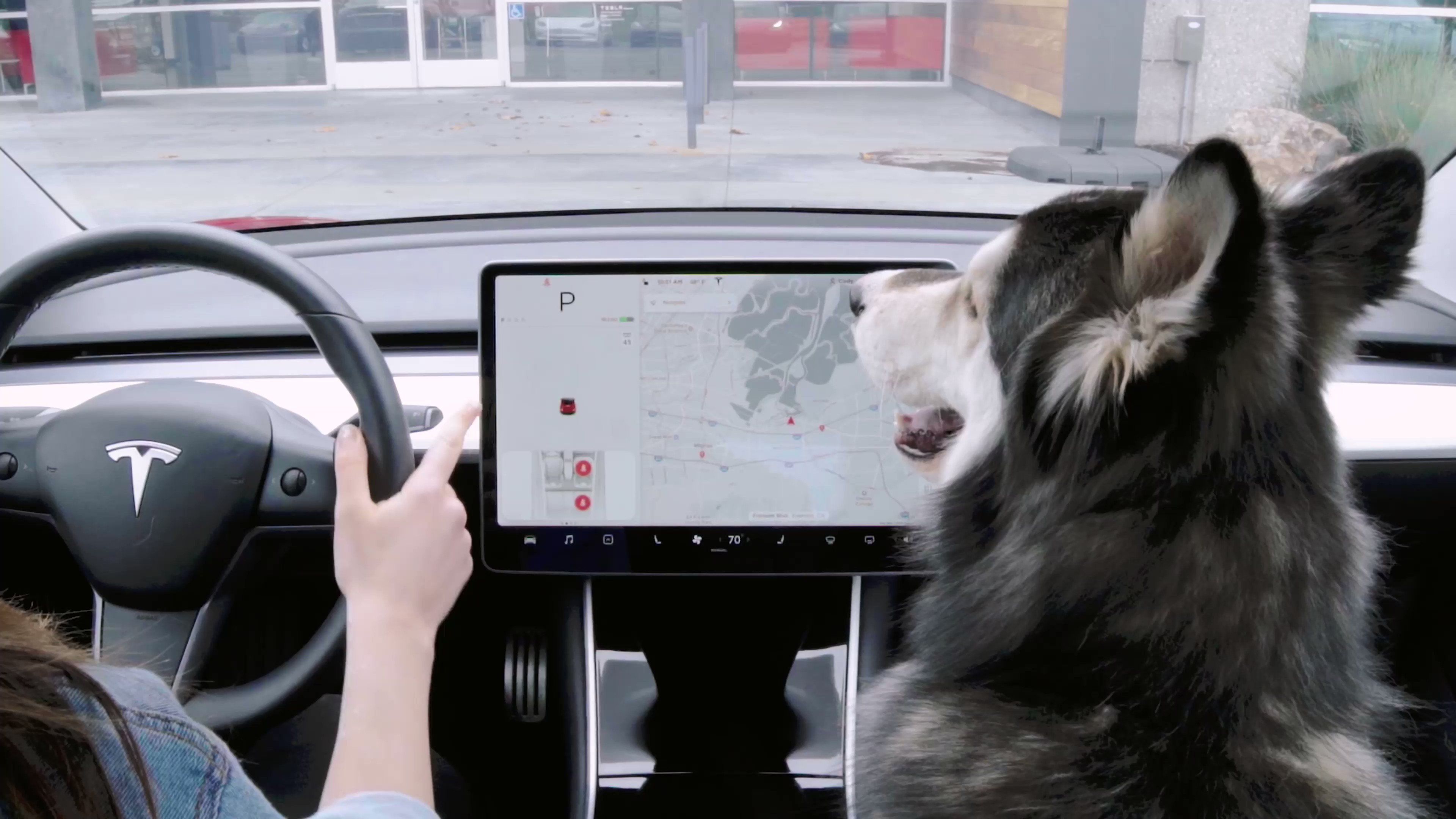 値下げします！コメント下さい！テスラ缶 大 TESLA メドベッドジェネレーター テスラ車、安全性の最高推奨失う レーダー除去のシステム変更で