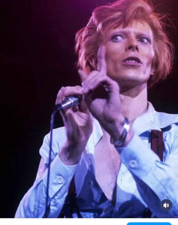 HYSTERIC GLAMOUR DAVID BOWIE/M.D.D.1 値段通販 fabiolandert.com