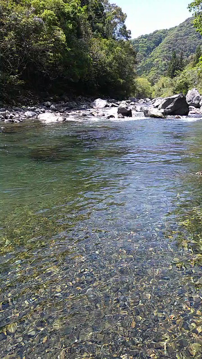 水辺の風景をお届けしています。 定期的に投稿していますので、水辺の風景がお好きな方は、ぜひフォローしてください(^^) YouTubeも併せてフォローお願いします(^^)