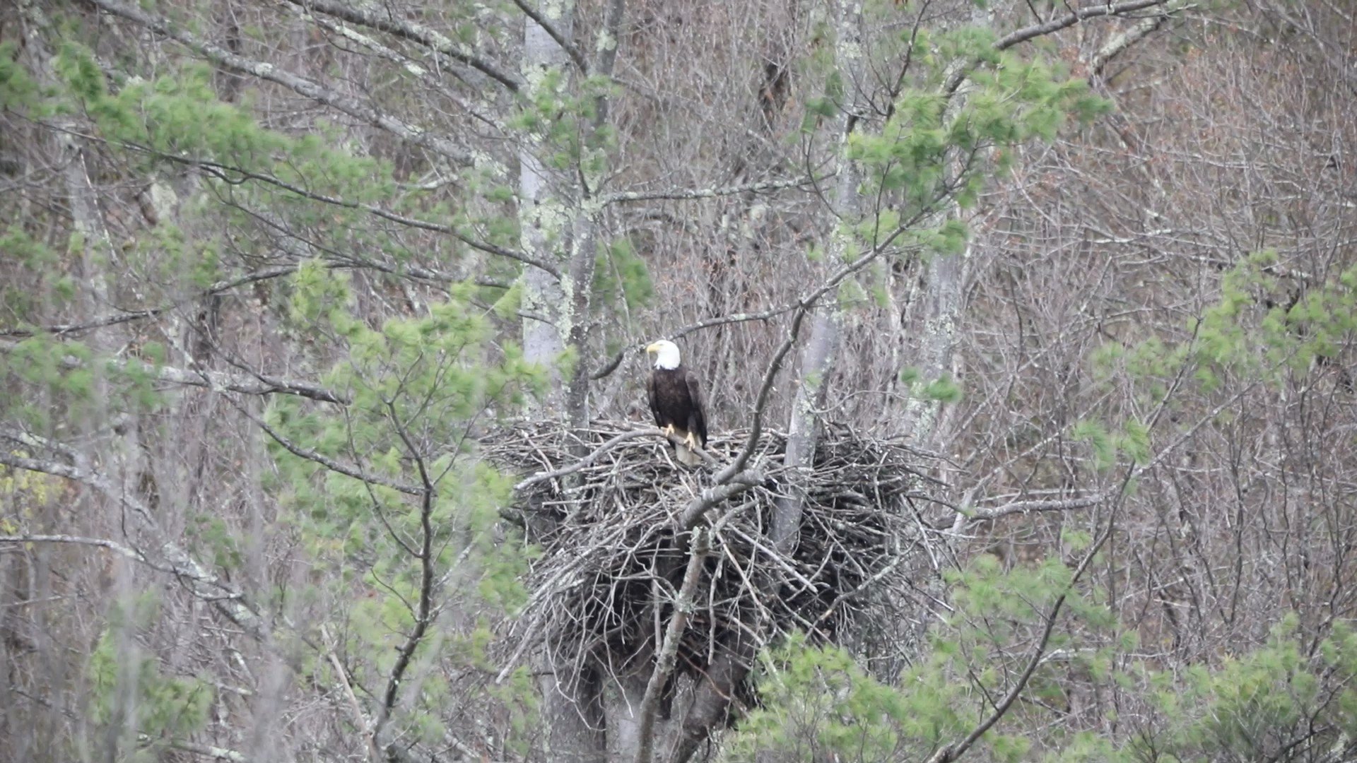 New York State Dept. of Environmental Conservation on Twitter "Last