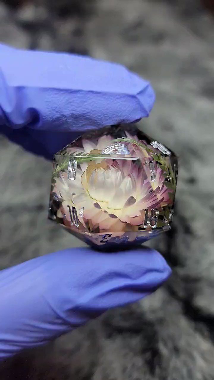 Dice Dumpling (dicedumpling) / Twitter