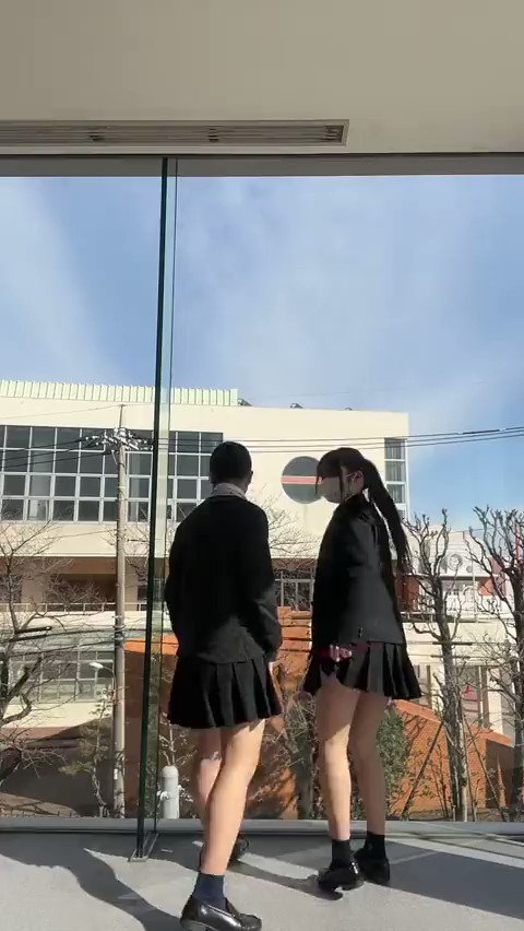 パンチラ動画 表紙画像
