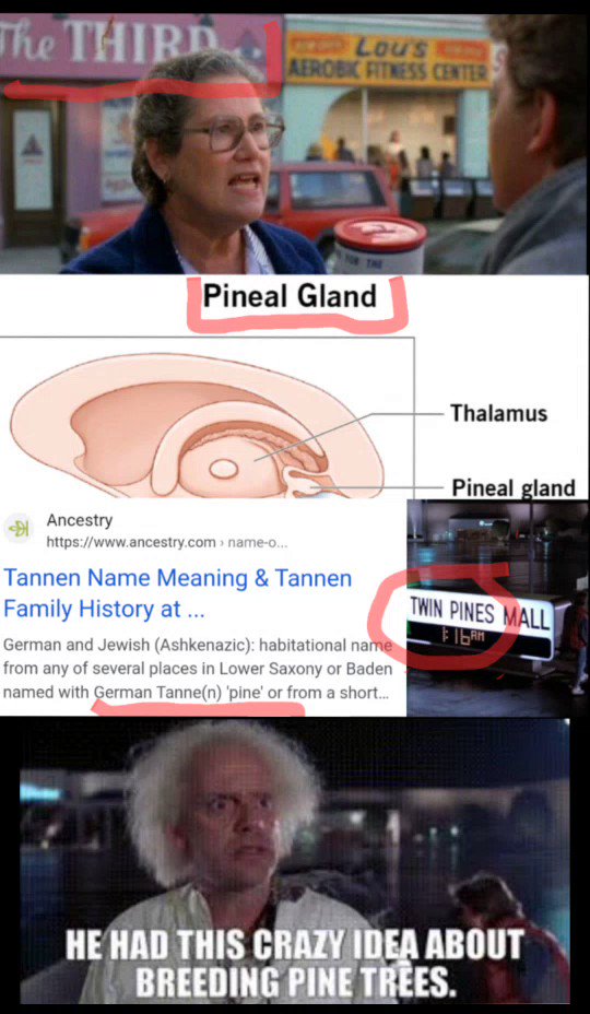 BiffDon on Twitter: "Is Back to the Future Secretly About Activating Our Pineal  Gland? https://t.co/HF5loo1b4z" / X