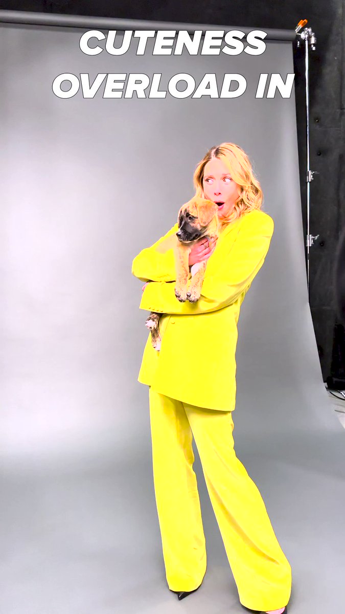 Antonella🌹🖤 on Twitter: "RT @EOlsenBrasil: Muita fofura! 🥹 — Novo vídeo