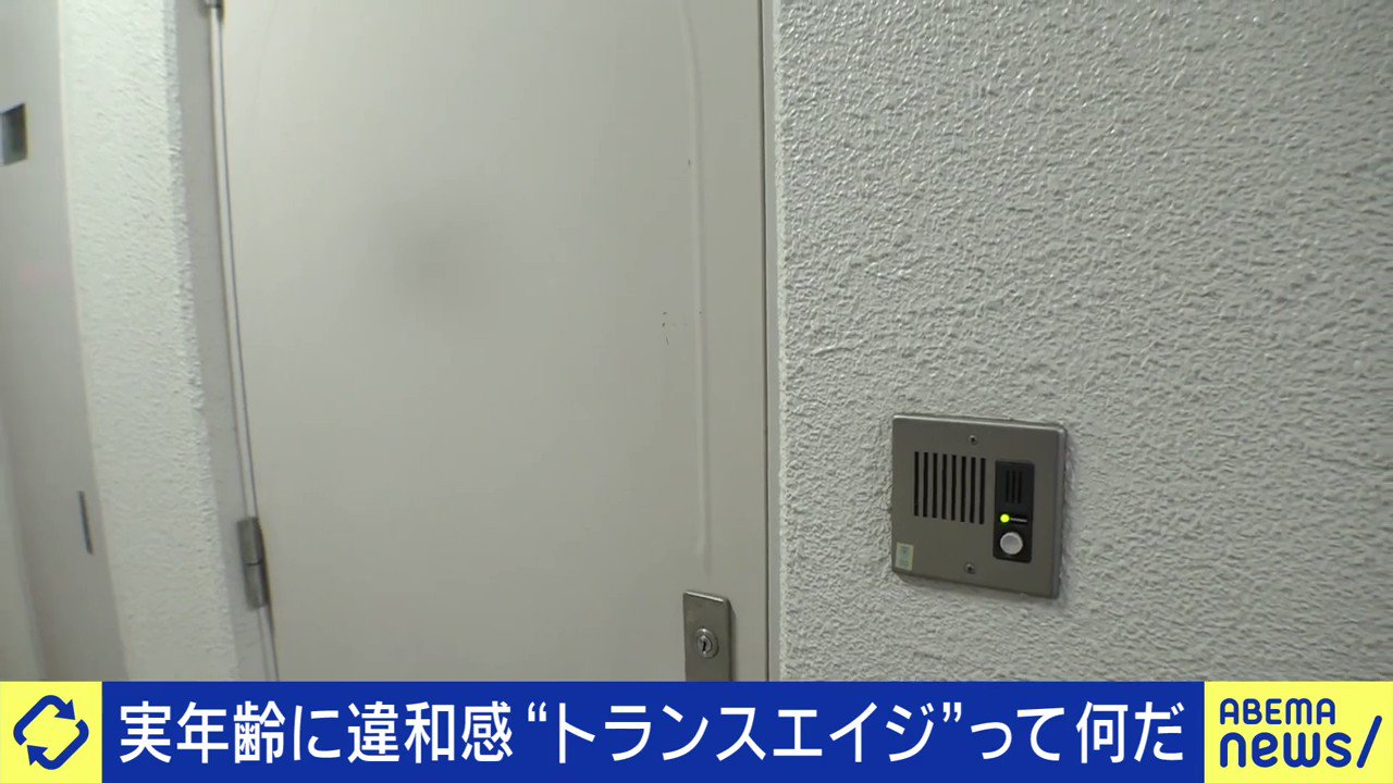 しばしばおまとめ専用❣️ ハヤブサ 小アジ専科 135 白スキン シラスカラー 4号(ハリス1号