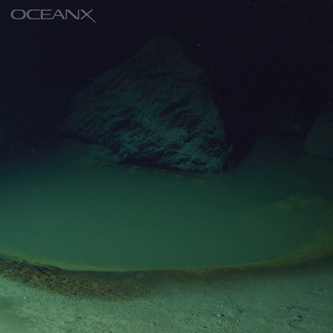 OceanX on Twitter: "Brine pools are underwater lakes found on the
