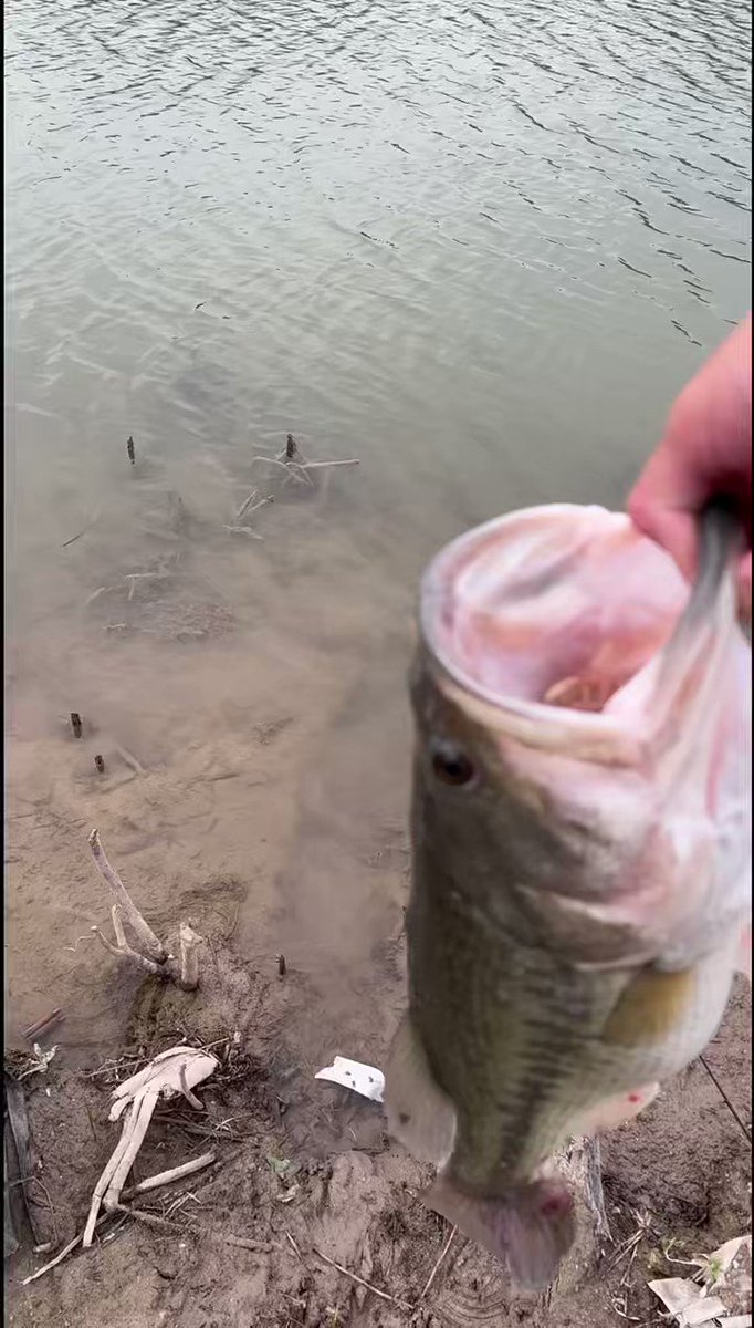 Simi Fehoko on Twitter "New PB. As you could tell, I was hyped🤣🤣🤣 6